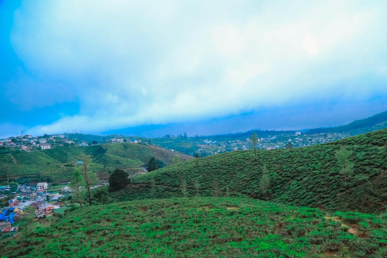 The Mount View Single Tree Hotel Nuwara Eliya Bagian luar foto